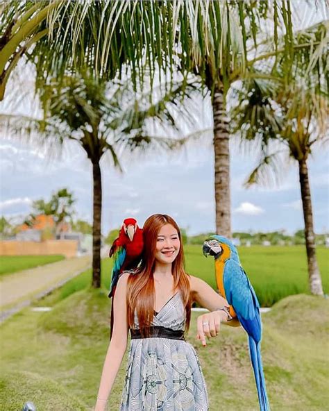 Bali Bird Park Melihat Berbagai Jenis Burung Dunia