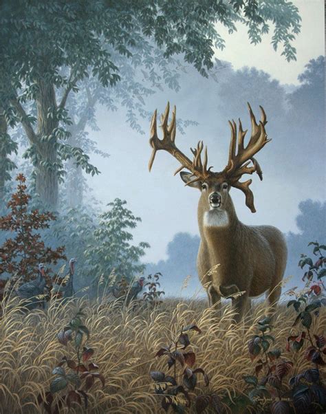 Foggy Morning Whitetail The Lovstuen Buck Deer Artwork Hunting Art