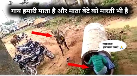 कर्मा से कोई नही बच सकता Part 5 Instant Karma Moment Caught On Camera One Minute Show Hindi