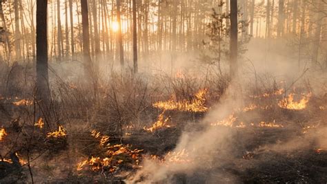 Evacuation Ordered For Part Of Cold Lake First Nations Other Wildfire