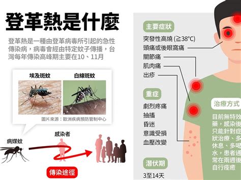 南部登革熱流行主因 南市府：病媒蚊分布嘉義以南 生活 中央社 Cna