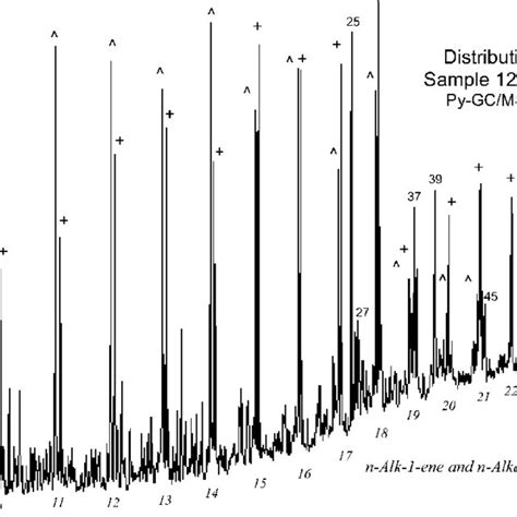 Mass Chromatogram Mz 91 Py Gcms Sim Showing The Distribution Of C Download Scientific