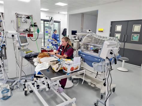 Critical Care Veterinary Specialists Ireland