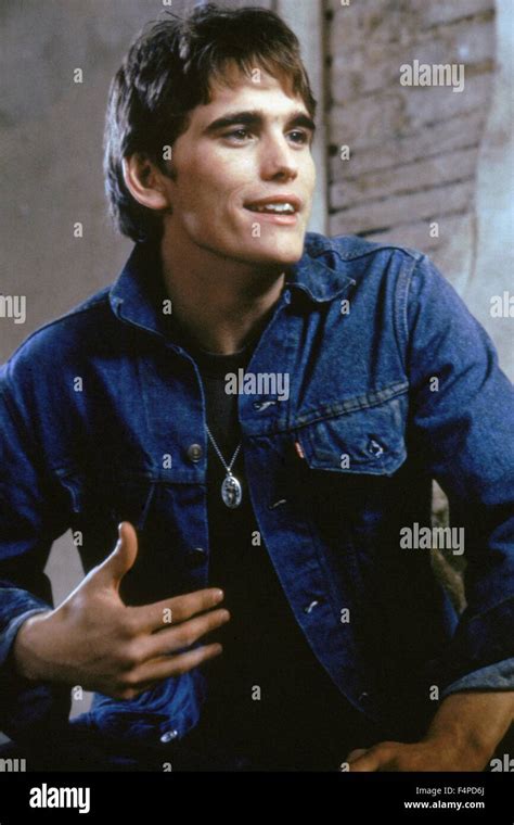 Matt Dillon The Outsiders 1982 Directed By Francis Ford Coppola Stock