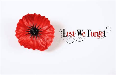 Lest we Forget, Red Flanders Poppy Lapel Pin Badge on White Stock Photo ...