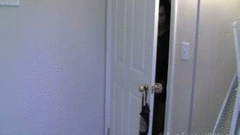 IRONING FETISH Videos And Porn Clips Clips4Sale