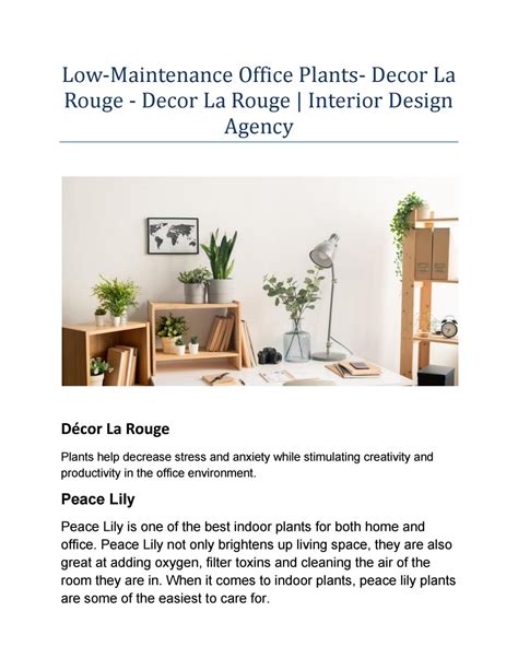 Low-Maintenance Office Plants- Decor La Rouge - Decor La Rouge | Interior Design Agency by Decor ...