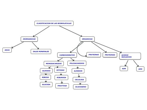 Biomoleculas Clasificacion Y Funcion Mapa Conceptual Shibaswap Porn