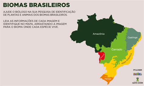 Biomas Brasileiros Mapas Dos Biomas Tipos E Caracter Sticas Escola