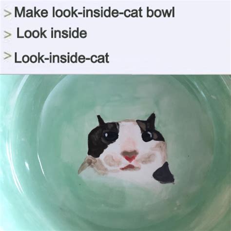 look_inside_cat.jpg : r/Catmemes