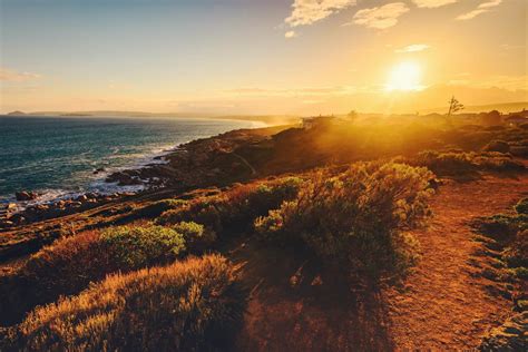 A Quick Guide To The Great Ocean Walk Great Ocean Road Guide