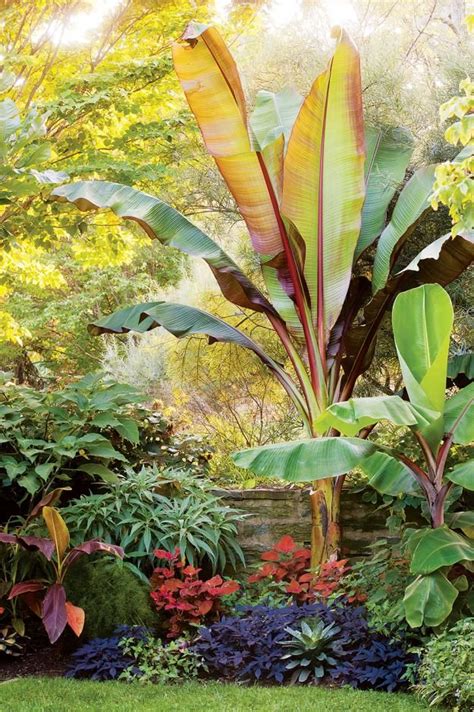 Lessons From Chanticleer Garden Design Tropical Garden Design