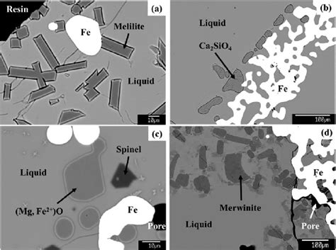 Typical Microstructures Of The Quenched Slags From Primary Phase Fields