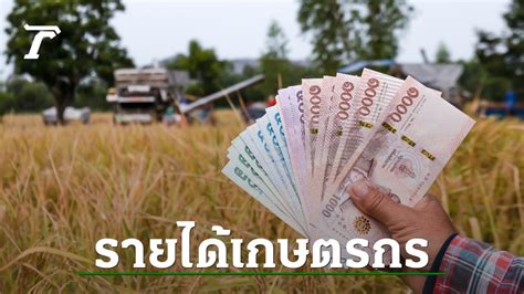 Ttb Analytics คาดปี 66 รายได้เกษตรกร 5 พืชเศรษฐกิจ ลดลง 47