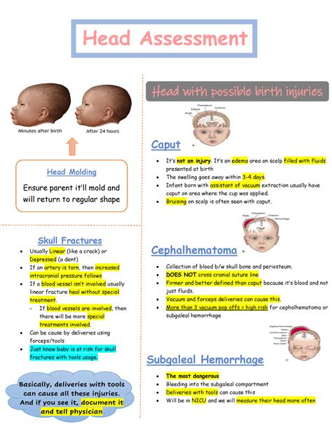 OB exam 3 Newborn - OB notes! - Head Assessment Head Molding Ensure ...