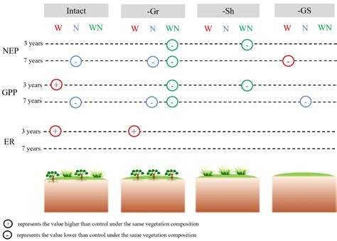 Peatland Carbon Sink Affected by Vegetation, Warming, Nitrogen: Study ... 