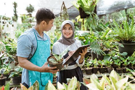 Menciptakan Peluang Usaha Di Desa Homecare