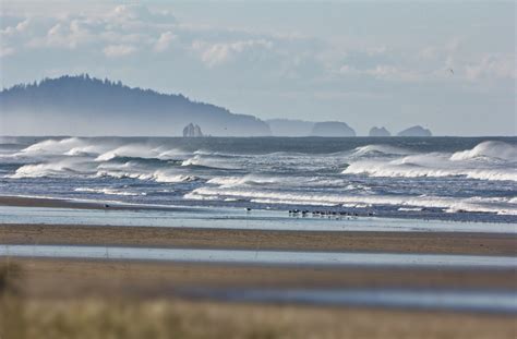 Newsletter - Oregon Seaweed