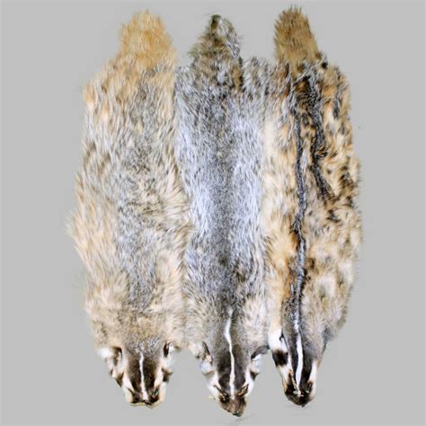 Glacier Wear Badger Pelts For Sale