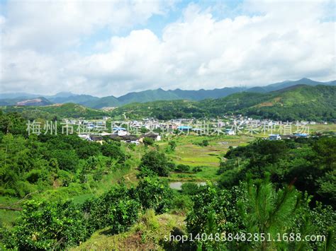 梅县隆文镇 梅州隆文镇 梅州梅县 大山谷图库