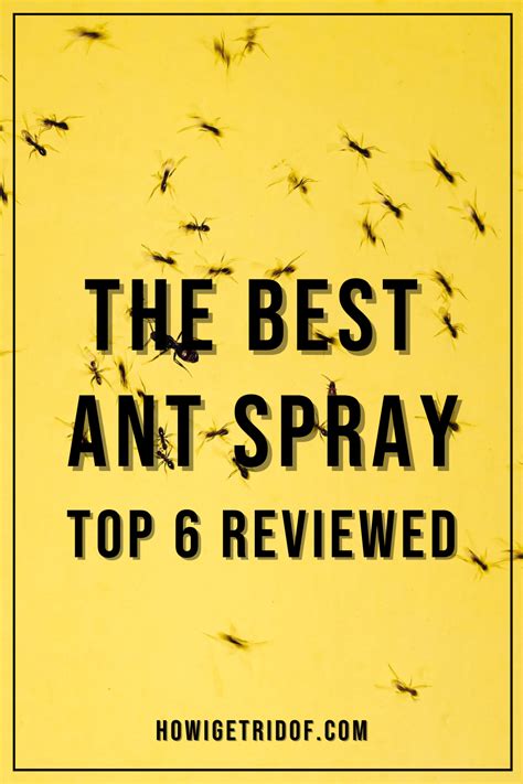 The Best Ant Spray - Top 6 Reviewed - How I Get Rid Of