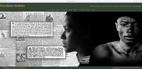 Freedom Seekers: Stories of Black Liberation in the American ...