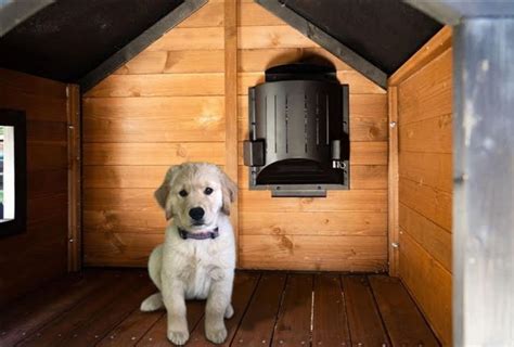 5 Best Kennel Heaters For Dog House What Type Of Kennel Heater Is