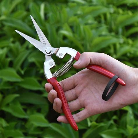 Home Gardening Scissors Flower Shears Fruit Pruning Multi Craft Garden