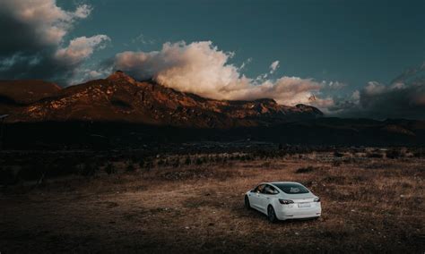 Tesla Giga Shanghai Gets 77k Sales Estimate For August 2022