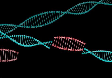 Jumping Genes Can Cause Movement Disorder Study The Scientist Magazine