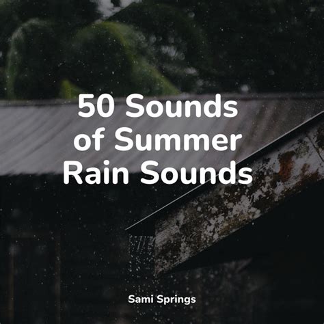 50 Sounds Of Summer Rain Sounds Album By Rainy Sounds Spotify