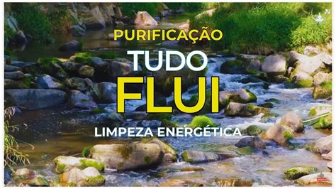 M Sica Poderosa Para Limpar O Ambiente E Purificar As Energias