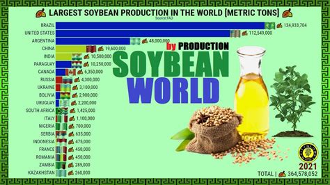 Biggest Soybean Producers In The World Youtube