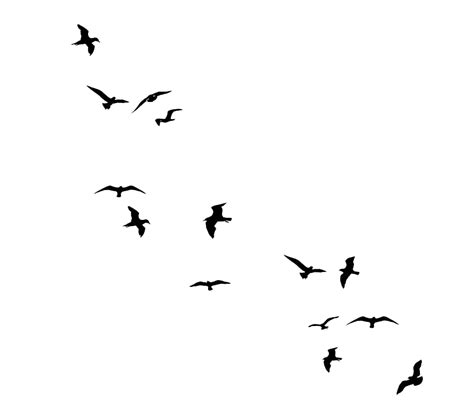 Flying Flock Of Birds PNG High Quality Image | PNG All