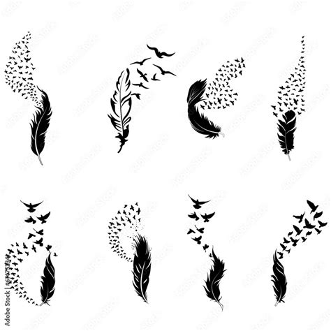 Feather To Birds Svg Feather And Birds Bundle Svg Feather With Birds