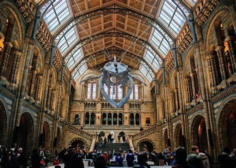 Museu De Hist Ria Natural De Londres Eusoquerotudo