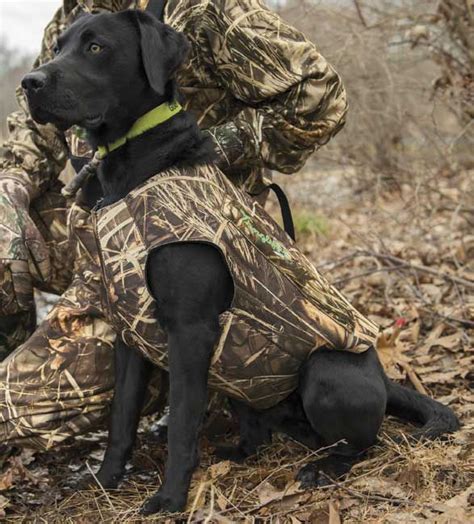 How to measure your dog for a hunting vest – Miosuperhealth