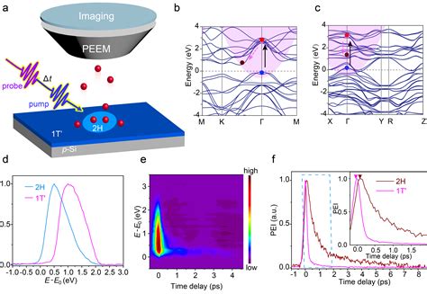 Unveiling The Carrier Dynamics Of A Coplanar D Heterojunction Via Time