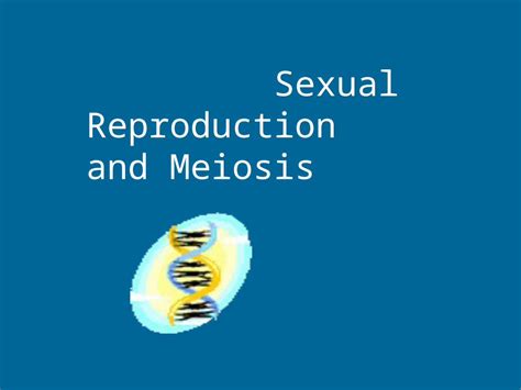 Ppt Sexual Reproduction And Meiosis Sexual Reproduction How New