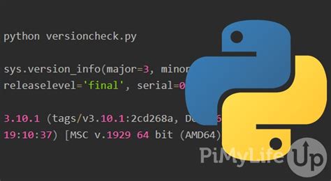 How To Exit Python In The Terminal Cyirc