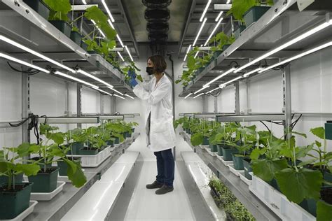 Bayer y Kimitec se unen en el desarrollo de biotecnología para el campo