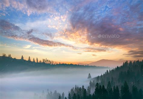 Sunset Landscape Of High Mountain Peaks And Foggy Valley With Pine