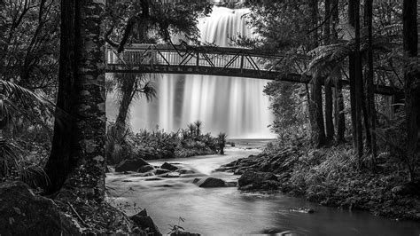 Whangarei Falls, New Zealand