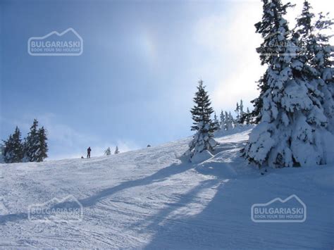 Vitosha Ski Mountain, reviews and online booking — BulgariaSki