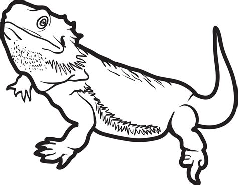 Printable Lizard Coloring Page For Kids 5 Supplyme