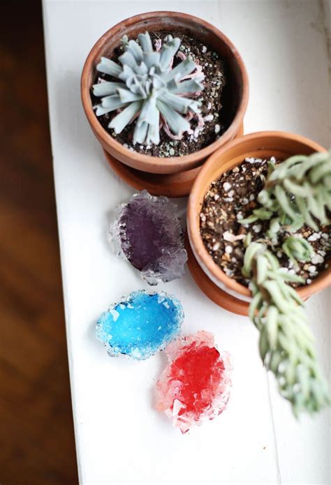 How To Grow Your Own Crystals A Beautiful Mess