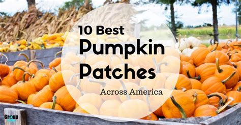 10 Best Pumpkin Patches Across America Group Tours