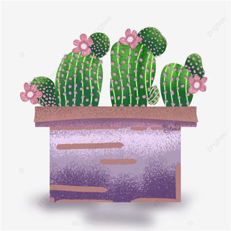 Cacti Plants Cacti Cactus Plants PNG Transparent Clipart Image And