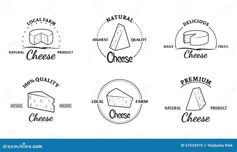 Vector Cheese Sketch Drawing Designer Template Farm Food Collection