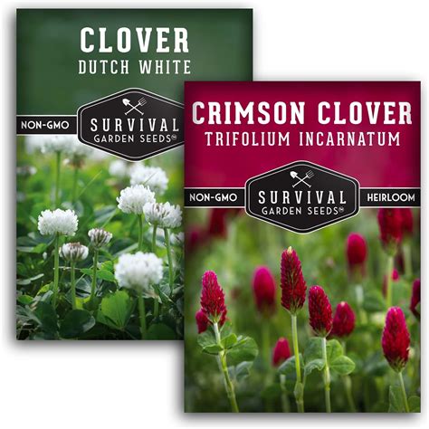 Amazon.com : Clover Seed Collection for Planting - 2 Packets of Crimson